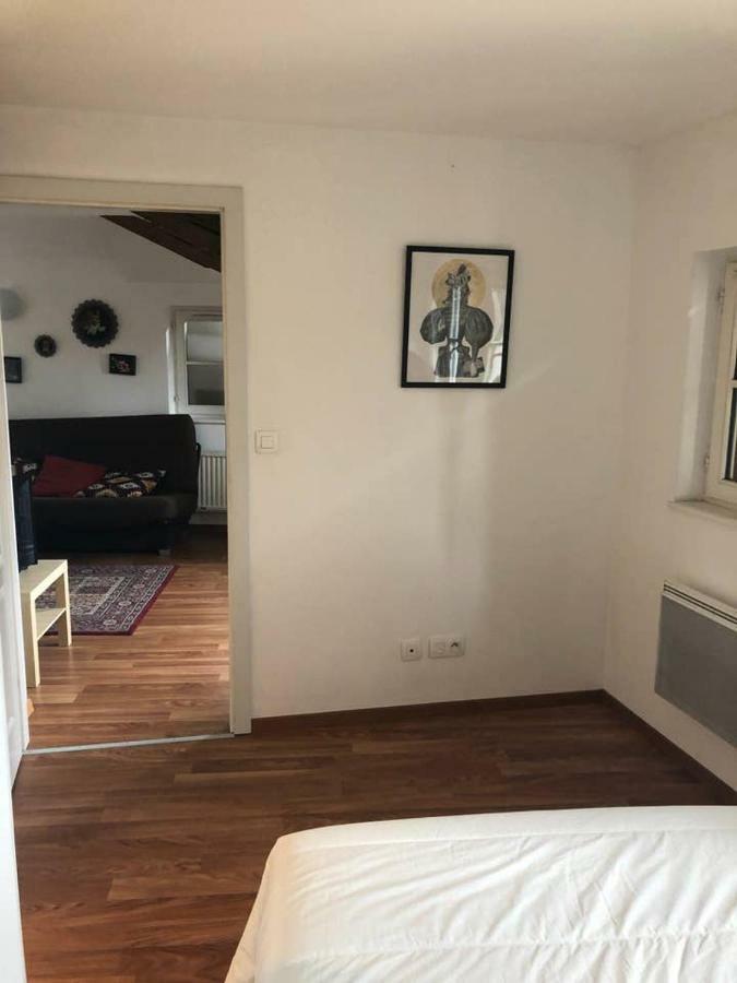 Appartement Avec Balcon Centre Ville Strasbourg Exterior photo